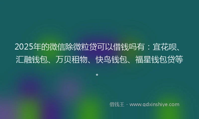 2025年的微信除微粒贷可以借钱吗有：宜花呗、汇融钱包、万贝租物、快鸟钱包、福星钱包贷等。