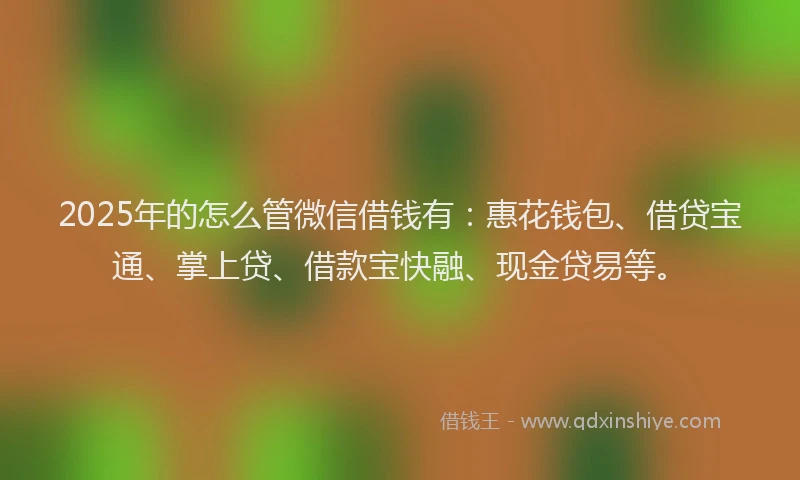 2025年的怎么管微信借钱有：惠花钱包、借贷宝通、掌上贷、借款宝快融、现金贷易等。