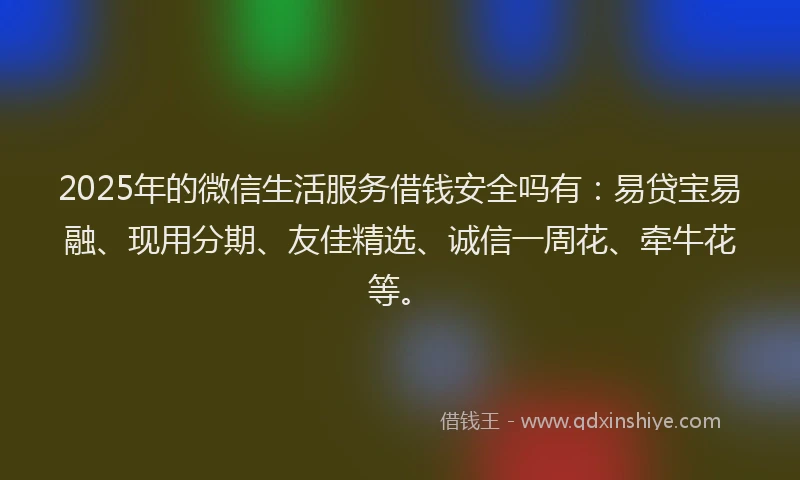 2025年的微信生活服务借钱安全吗有：易贷宝易融、现用分期、友佳精选、诚信一周花、牵牛花等。