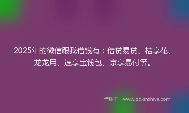 2025年的微信跟我借钱有：借贷易贷、桔享花、龙龙用、速享宝钱包、京享易付等。