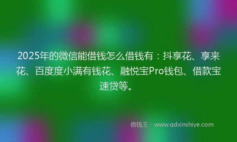 2025年的微信能借钱怎么借钱有：抖享花、享来花、百度度小满有钱花、融悦宝Pro钱包、借款宝速贷等。
