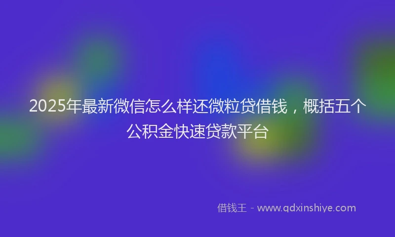 2025年最新微信怎么样还微粒贷借钱，概括五个公积金快速贷款平台