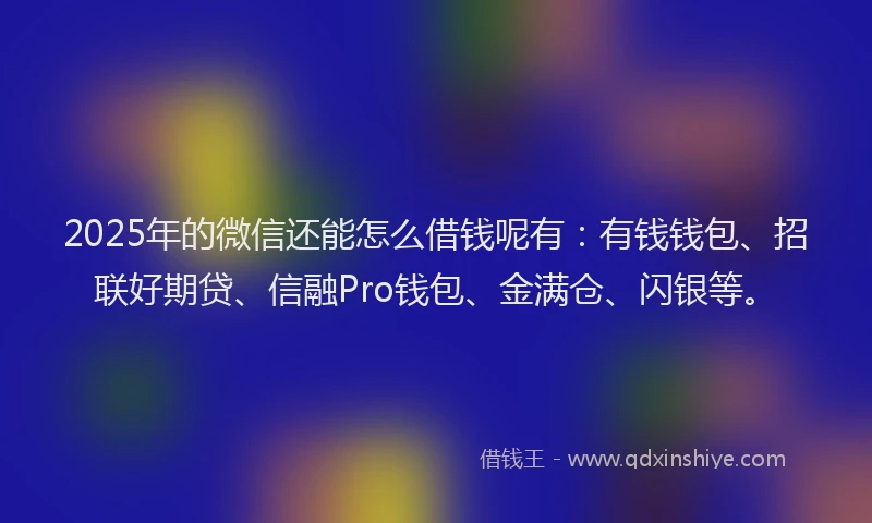 2025年的微信还能怎么借钱呢有：有钱钱包、招联好期贷、信融Pro钱包、金满仓、闪银等。