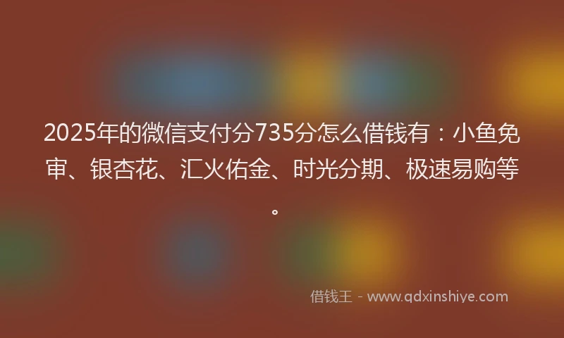 2025年的微信支付分735分怎么借钱有：小鱼免审、银杏花、汇火佑金、时光分期、极速易购等。