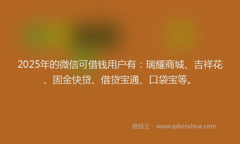 2025年的微信可借钱用户有：瑞耀商城、吉祥花、固金快贷、借贷宝通、口袋宝等。