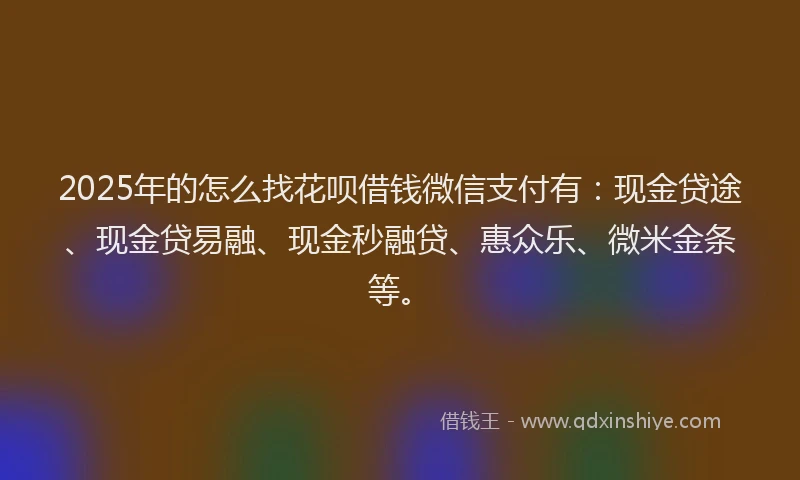 2025年的怎么找花呗借钱微信支付有：现金贷途、现金贷易融、现金秒融贷、惠众乐、微米金条等。