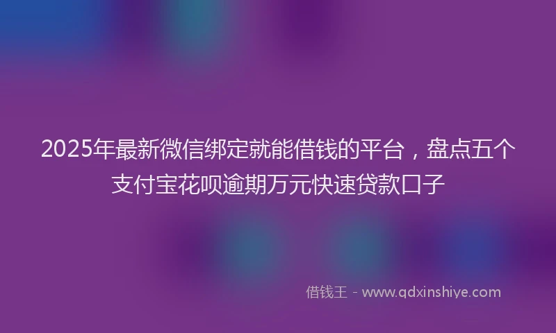 2025年最新微信绑定就能借钱的平台，盘点五个支付宝花呗逾期万元快速贷款口子