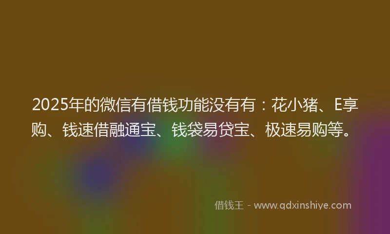 2025年的微信有借钱功能没有有：花小猪、E享购、钱速借融通宝、钱袋易贷宝、极速易购等。