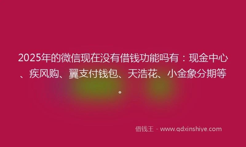 2025年的微信现在没有借钱功能吗有：现金中心、疾风购、翼支付钱包、天浩花、小金象分期等。
