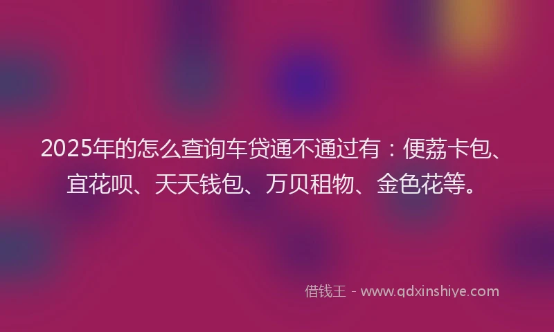 2025年的怎么查询车贷通不通过有：便荔卡包、宜花呗、天天钱包、万贝租物、金色花等。