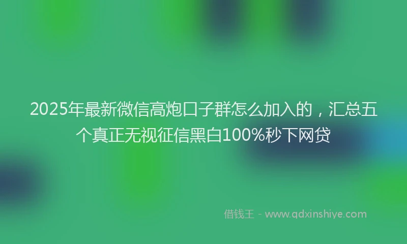 2025年最新微信高炮口子群怎么加入的，汇总五个真正无视征信黑白100%秒下网贷