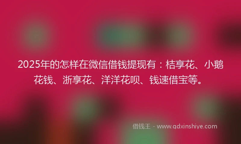2025年的怎样在微信借钱提现有：桔享花、小鹅花钱、浙享花、洋洋花呗、钱速借宝等。