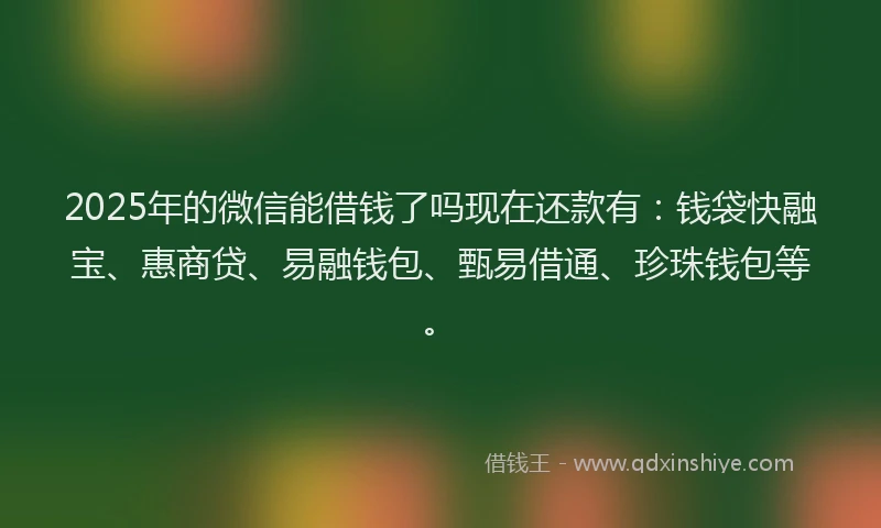 2025年的微信能借钱了吗现在还款有：钱袋快融宝、惠商贷、易融钱包、甄易借通、珍珠钱包等。