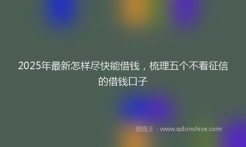 2025年最新怎样尽快能借钱，梳理五个不看征信的借钱口子