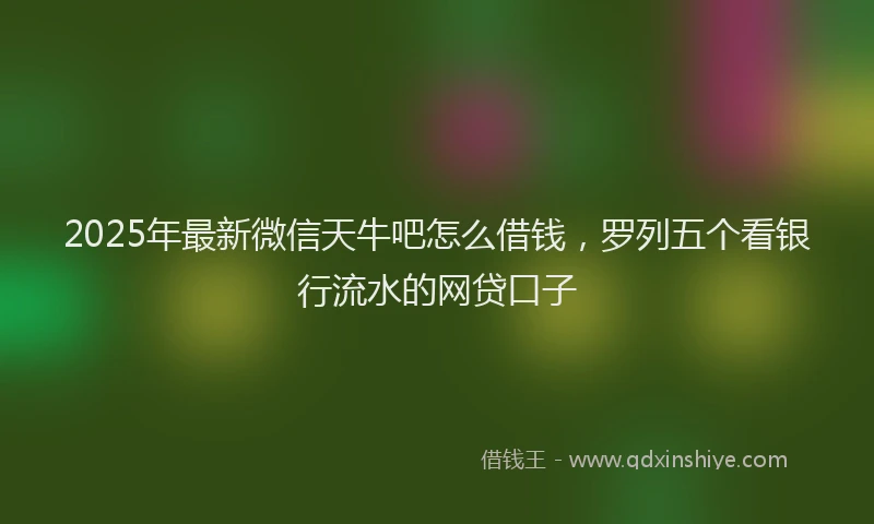 2025年最新微信天牛吧怎么借钱，罗列五个看银行流水的网贷口子