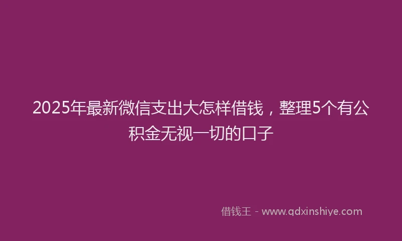 2025年最新微信支出大怎样借钱，整理5个有公积金无视一切的口子