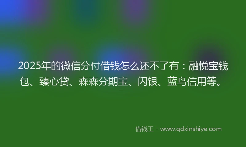 2025年的微信分付借钱怎么还不了有:融悦宝钱包、臻心贷、森森分期宝、闪银、蓝鸟信用等。
