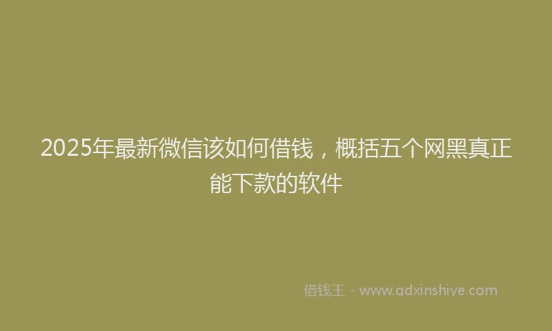 2025年最新微信该如何借钱，概括五个网黑真正能下款的软件