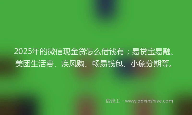 2025年的微信现金贷怎么借钱有：易贷宝易融、美团生活费、疾风购、畅易钱包、小象分期等。
