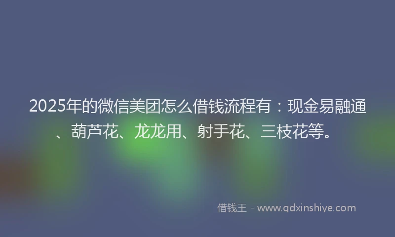 2025年的微信美团怎么借钱流程有：现金易融通、葫芦花、龙龙用、射手花、三枝花等。