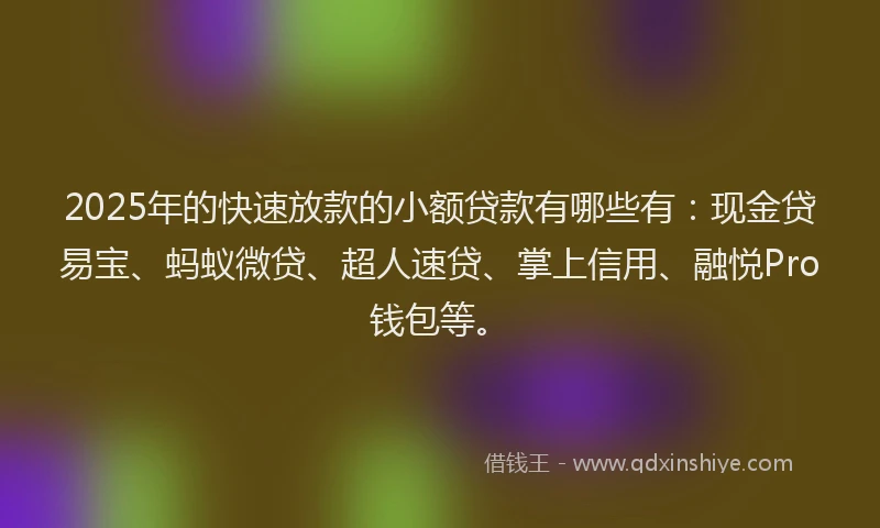 2025年的快速放款的小额贷款有哪些有：现金贷易宝、蚂蚁微贷、超人速贷、掌上信用、融悦Pro钱包等。