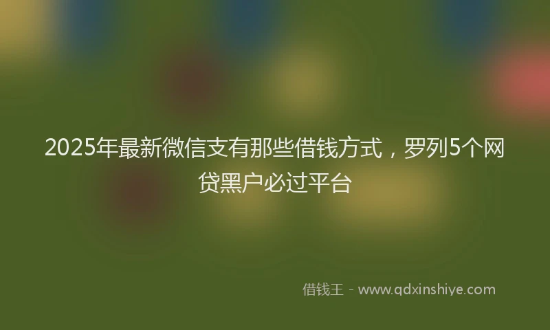 2025年最新微信支有那些借钱方式，罗列5个网贷黑户必过平台