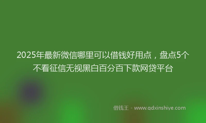 2025年最新微信哪里可以借钱好用点，盘点5个不看征信无视黑白百分百下款网贷平台