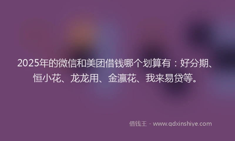 2025年的微信和美团借钱哪个划算有:好分期、恒小花、龙龙用、金瀛花、我来易贷等。