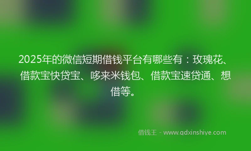 2025年的微信短期借钱平台有哪些有：玫瑰花、借款宝快贷宝、哆来米钱包、借款宝速贷通、想借等。