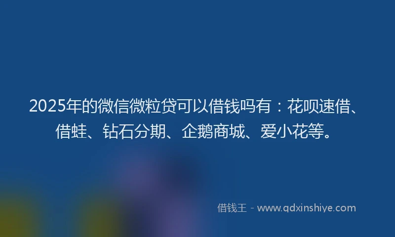 2025年的微信微粒贷可以借钱吗有：花呗速借、借蛙、钻石分期、企鹅商城、爱小花等。