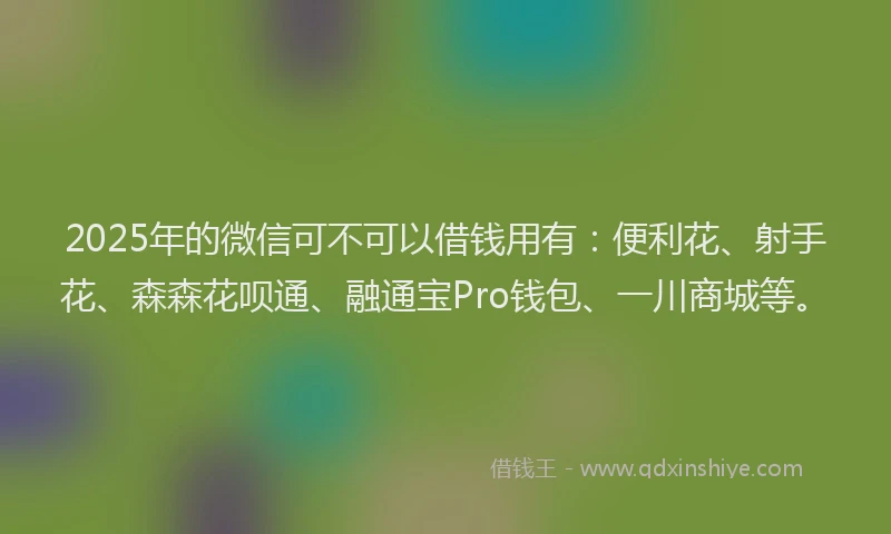 2025年的微信可不可以借钱用有：便利花、射手花、森森花呗通、融通宝Pro钱包、一川商城等。