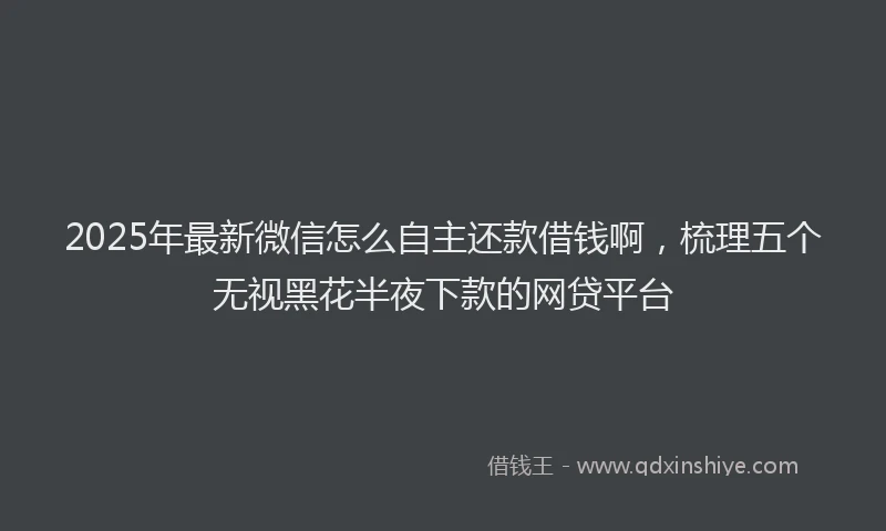 2025年最新微信怎么自主还款借钱啊，梳理五个无视黑花半夜下款的网贷平台