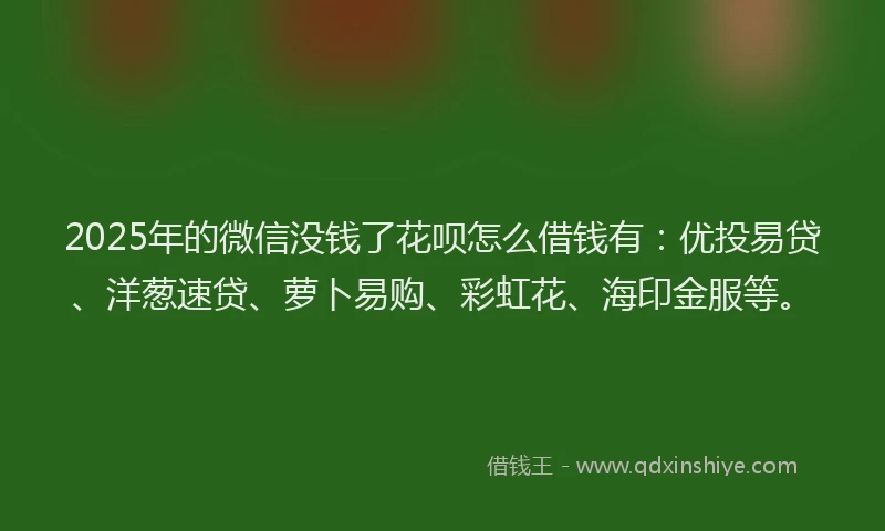 2025年的微信没钱了花呗怎么借钱有：优投易贷、洋葱速贷、萝卜易购、彩虹花、海印金服等。