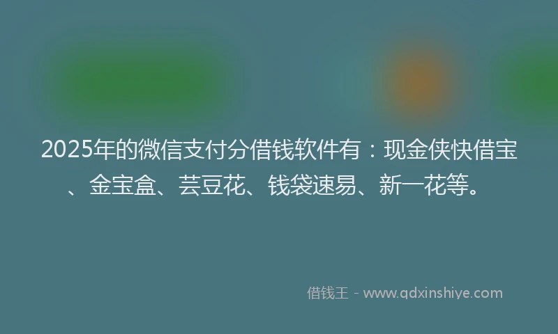 2025年的微信支付分借钱软件有：现金侠快借宝、金宝盒、芸豆花、钱袋速易、新一花等。