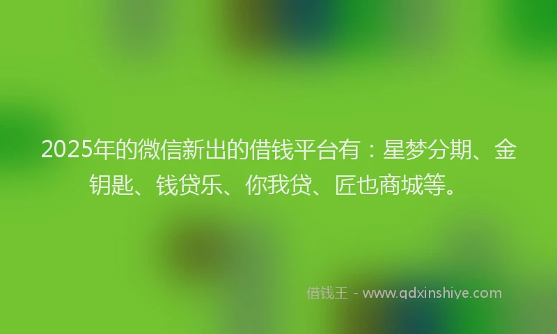 2025年的微信新出的借钱平台有：星梦分期、金钥匙、钱贷乐、你我贷、匠也商城等。