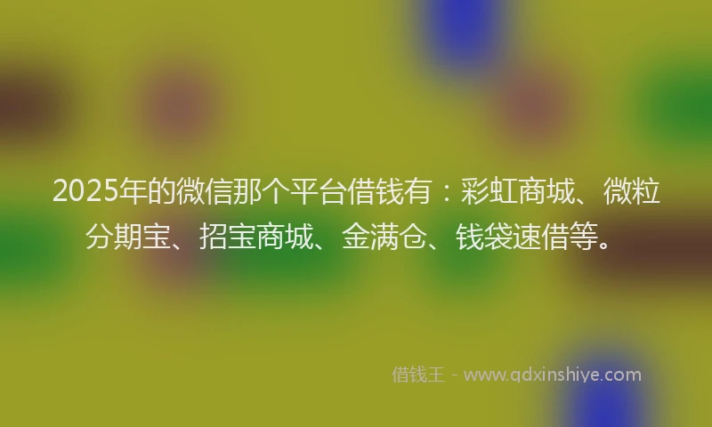 2025年的微信那个平台借钱有：彩虹商城、微粒分期宝、招宝商城、金满仓、钱袋速借等。