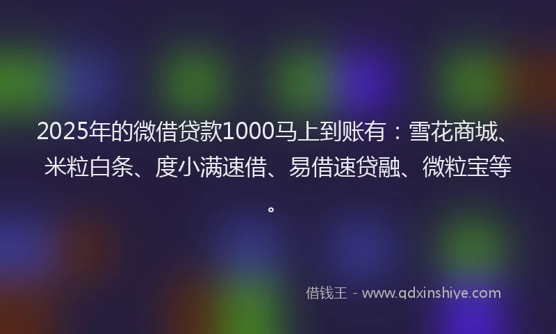 2025年的微借贷款1000马上到账有：雪花商城、米粒白条、度小满速借、易借速贷融、微粒宝等。