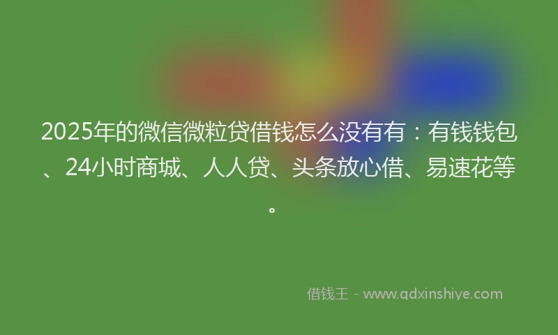 2025年的微信微粒贷借钱怎么没有有：有钱钱包、24小时商城、人人贷、头条放心借、易速花等。