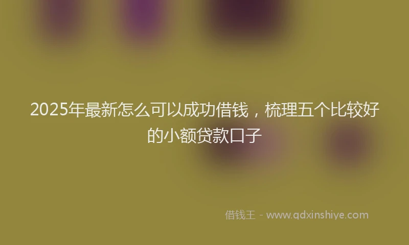 2025年最新怎么可以成功借钱，梳理五个比较好的小额贷款口子