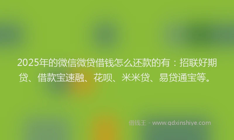 2025年的微信微贷借钱怎么还款的有：招联好期贷、借款宝速融、花呗、米米贷、易贷通宝等。