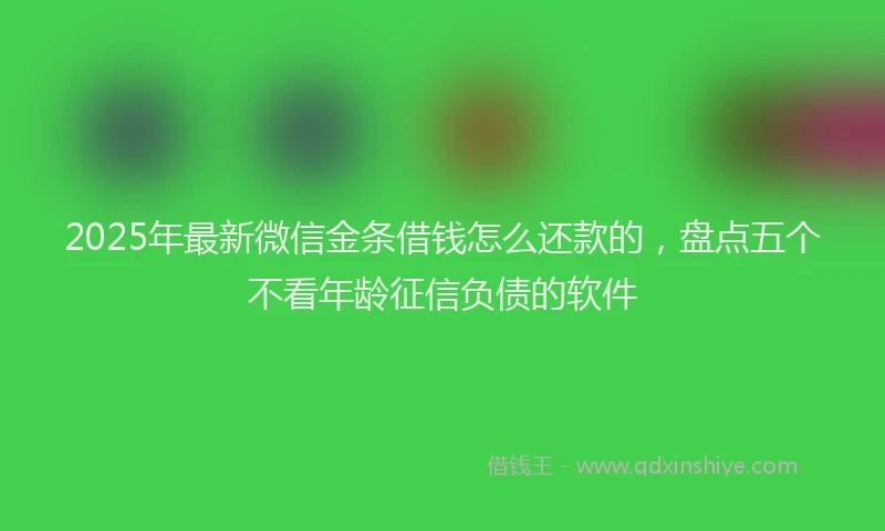 2025年最新微信金条借钱怎么还款的，盘点五个不看年龄征信负债的软件