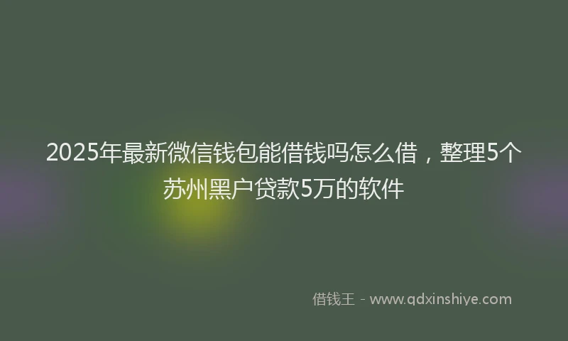 2025年最新微信钱包能借钱吗怎么借，整理5个苏州黑户贷款5万的软件