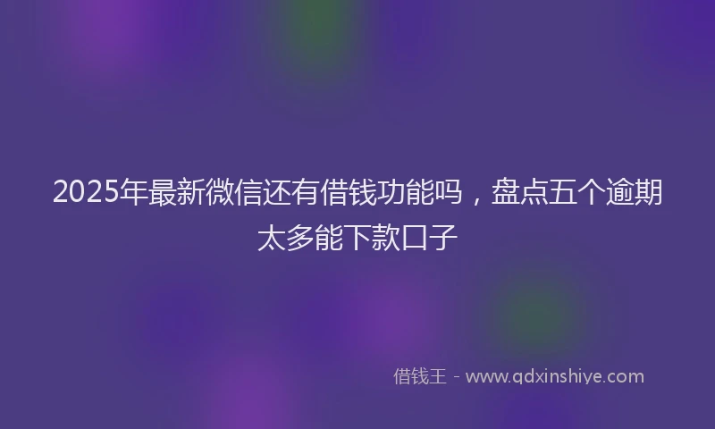 2025年最新微信还有借钱功能吗，盘点五个逾期太多能下款口子