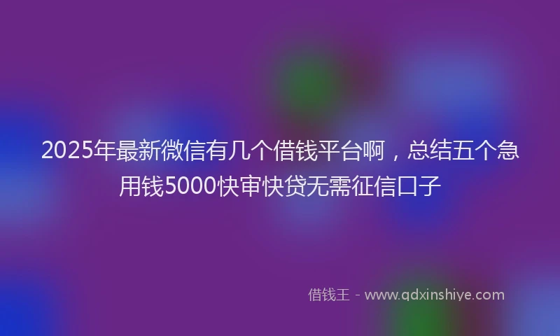2025年最新微信有几个借钱平台啊，总结五个急用钱5000快审快贷无需征信口子