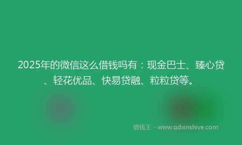 2025年的微信这么借钱吗有：现金巴士、臻心贷、轻花优品、快易贷融、粒粒贷等。