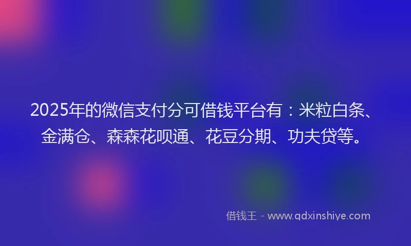 2025年的微信支付分可借钱平台有：米粒白条、金满仓、森森花呗通、花豆分期、功夫贷等。