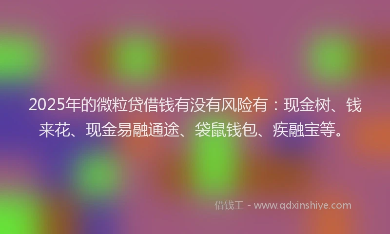 2025年的微粒贷借钱有没有风险有：现金树、钱来花、现金易融通途、袋鼠钱包、疾融宝等。