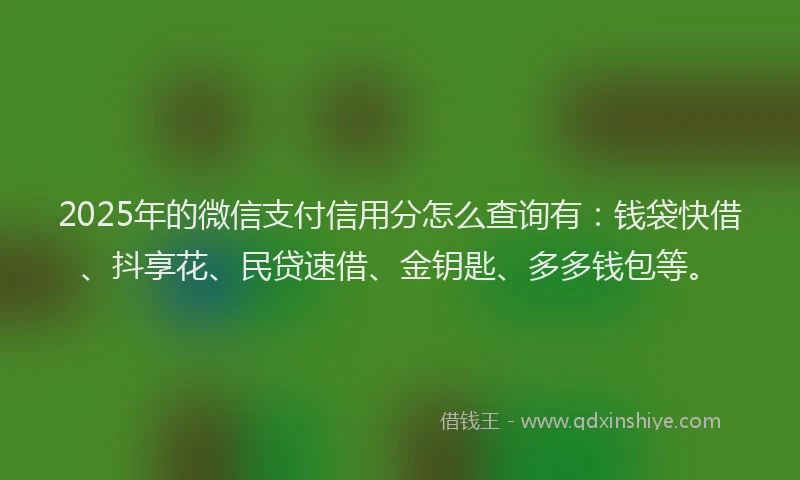 2025年的微信支付信用分怎么查询有：钱袋快借、抖享花、民贷速借、金钥匙、多多钱包等。