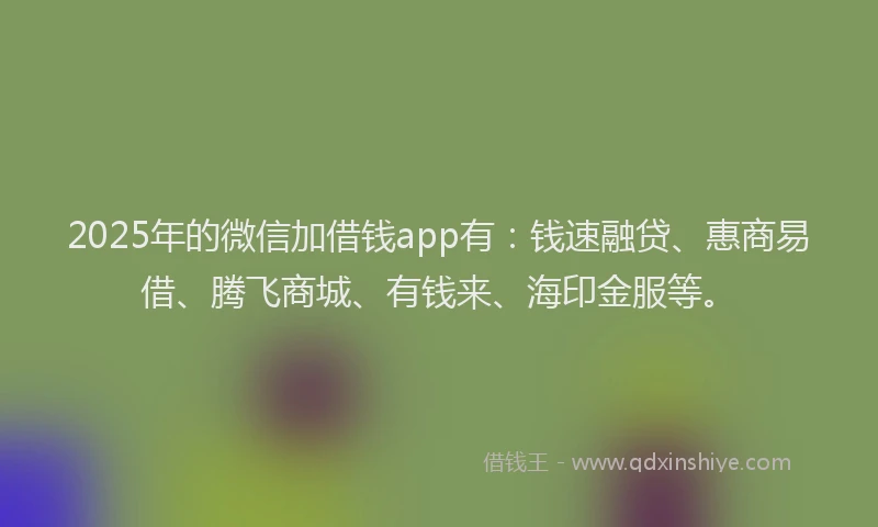 2025年的微信加借钱app有：钱速融贷、惠商易借、腾飞商城、有钱来、海印金服等。
