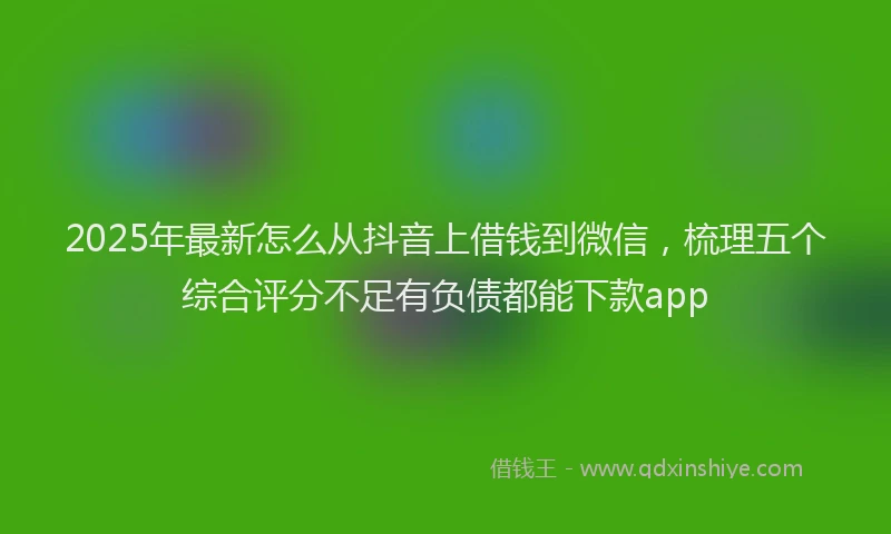 2025年最新怎么从抖音上借钱到微信，梳理五个综合评分不足有负债都能下款app